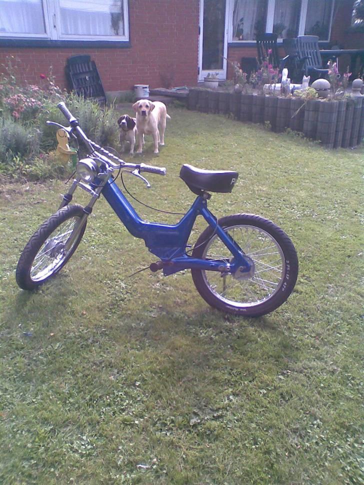 Puch maxi K billede 1