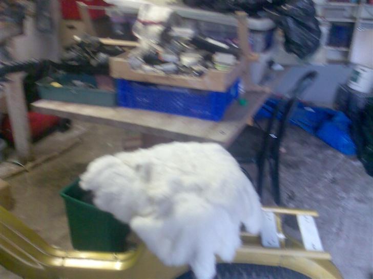 Puch Maxi [til salg] billede 4