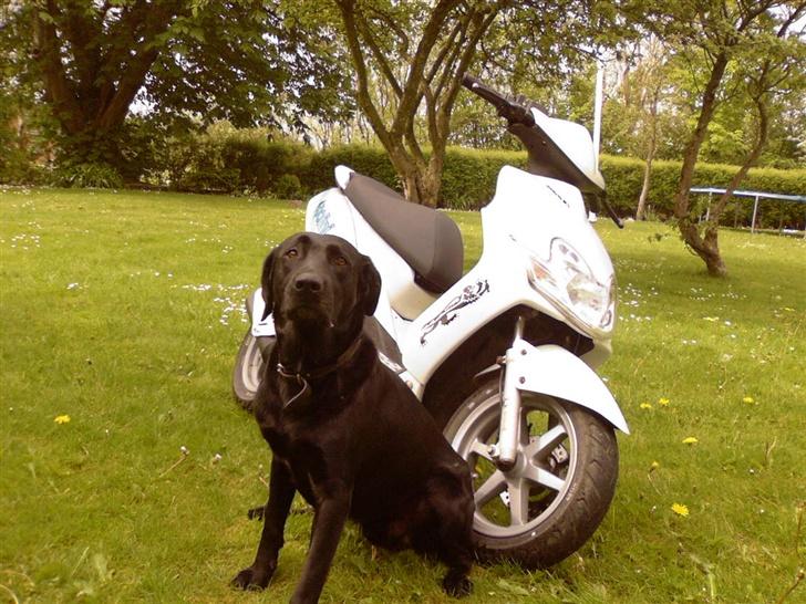 Yamaha Jog R *Solgt* billede 6