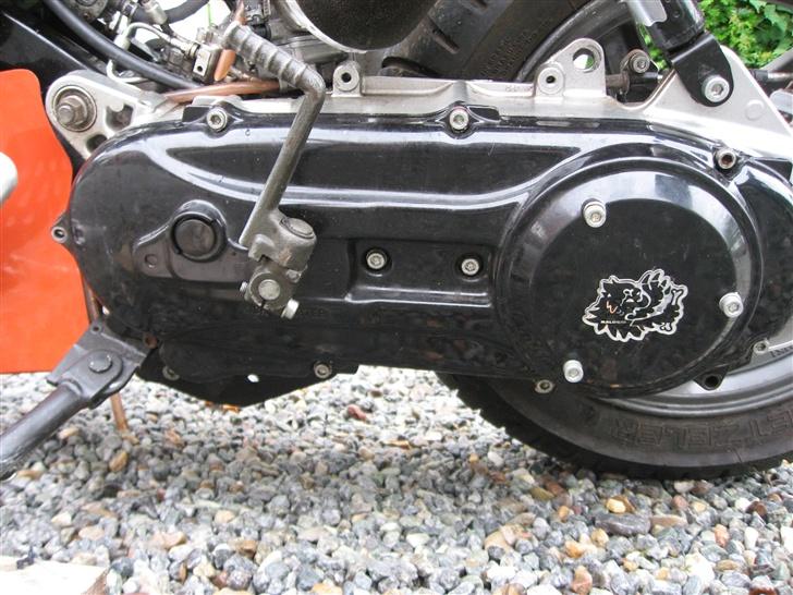 Suzuki Street Magic SOLGT - Variatorskjoldet :) med Malossi 3D klistermærke. :)  billede 7