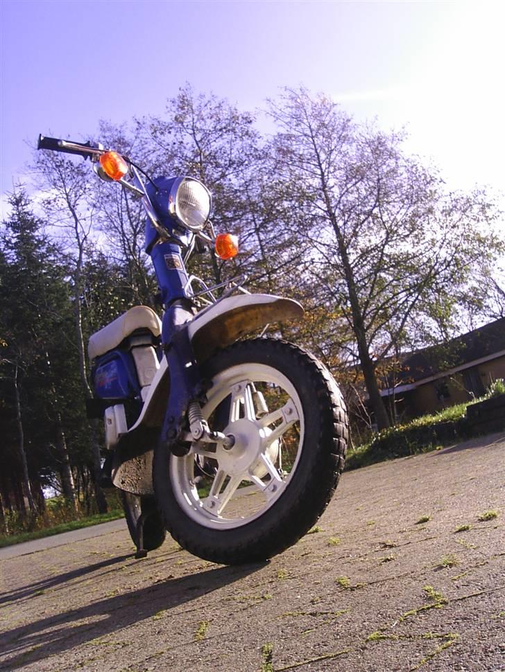 Suzuki FZ50 @ Mie Solgt - Nyvasket d. 07/11/07 :) Nøøj hun er flot <3 billede 1