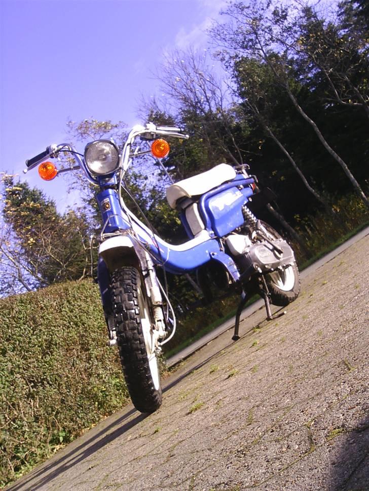 Suzuki FZ50 @ Mie Solgt - Nyvasket d. 07/11/07 :) Nøøj hun er flot <3 billede 2