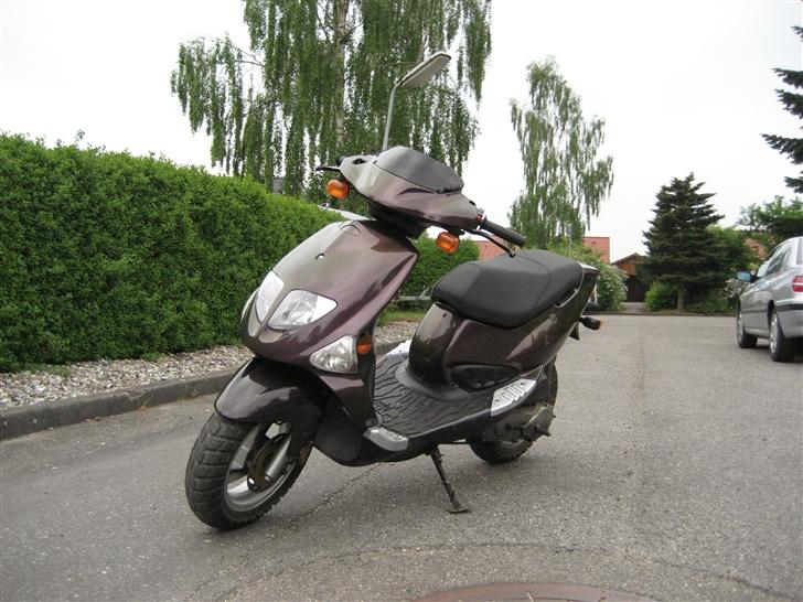 PGO DR. BIG billede 2