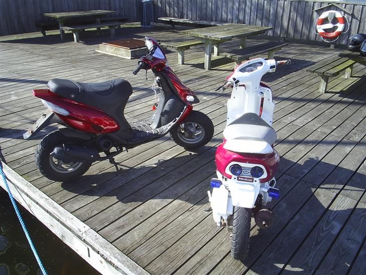 Honda SFX - Byttet - SAVN ! - Min sfx, og Anders´ Stalker :´) billede 8