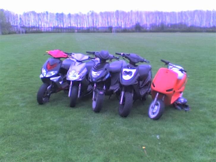 PGO Big Max billede 10