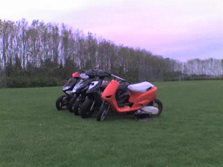 PGO Big Max billede 12