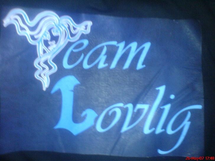 PGO PMX Naked billede 20