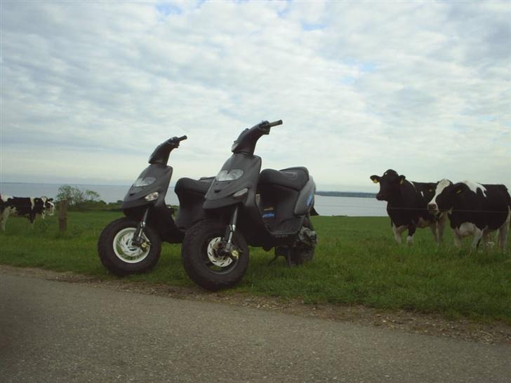 Gilera Stalker (Stjålet) billede 9