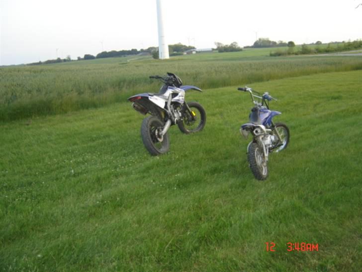 Derbi Senda  - lille bror billede 5