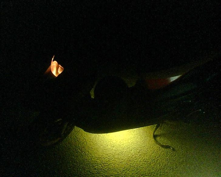 Honda SFX Repsol billede 4
