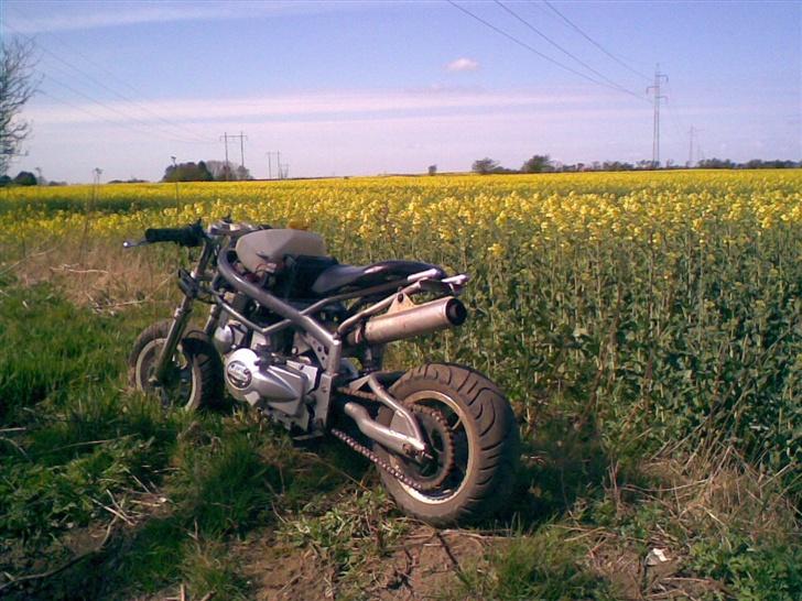 MiniBike  lonoin solgt=´( billede 7
