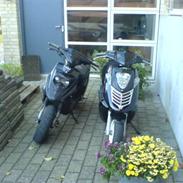 PGO Hot 50 SOLGT
