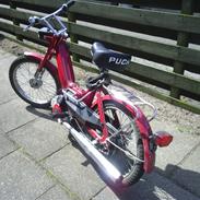 Puch Maxi k