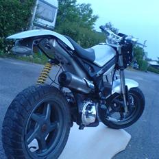 Suzuki Street magic SOLGT