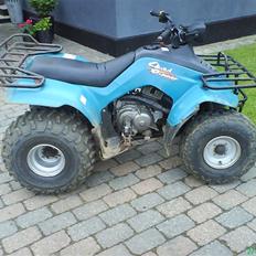 Suzuki Quad runner