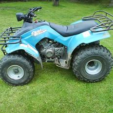 Suzuki Quad runner