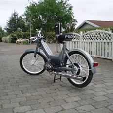 Puch maxi k SOLGT