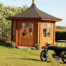 Yamaha FS-1 4 Gear DX (SOLGT)