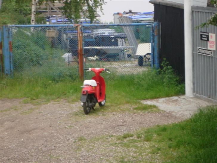 Honda melody SOLGT billede 9