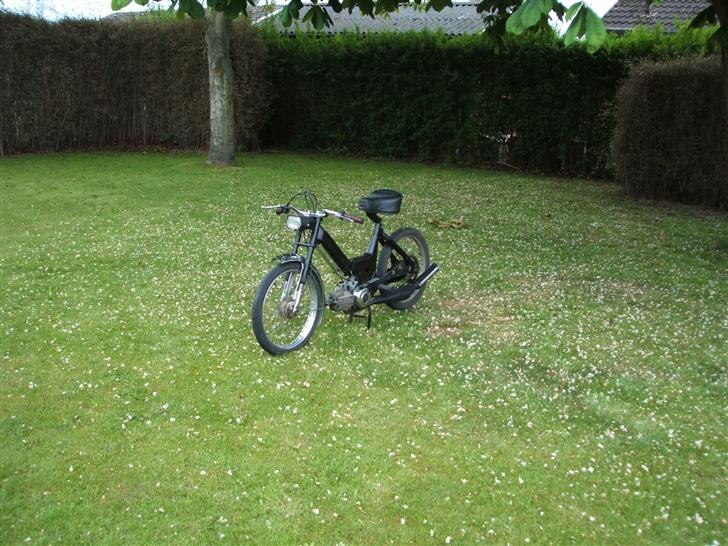 Puch Maxi >|>Lille projekt<|<  - Der står den jo fint :D hehe billede 13