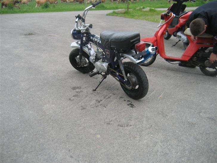 Honda Dax billede 14