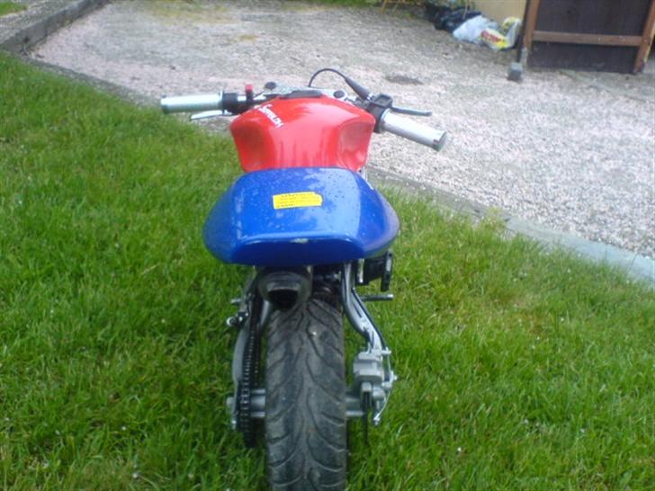 MiniBike Vilddyret :D billede 6