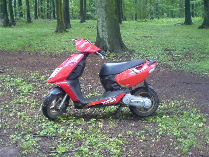 Aprilia Sonic Byttet til Stalker - færdige resultat ;) Mig og Sonic´en på skovtur :D billede 2