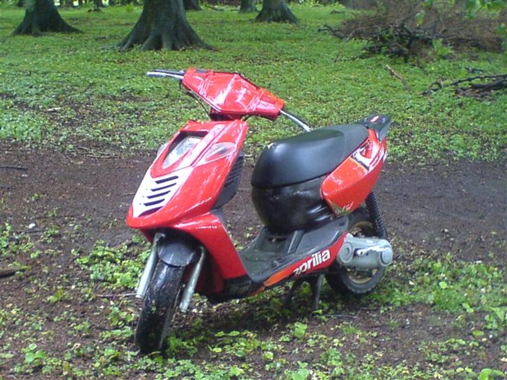 Aprilia Sonic Byttet til Stalker - færdige resultat ;) Mig og Sonic´en på skovtur :D billede 3