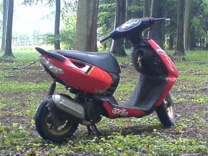 Aprilia Sonic Byttet til Stalker - færdige resultat ;) Mig og Sonic´en på skovtur :D billede 5