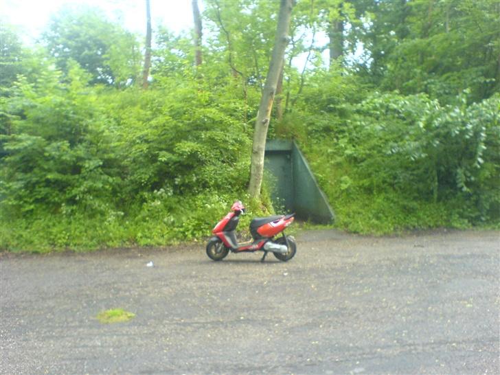 Aprilia Sonic Byttet til Stalker - færdige resultat ;) Mig og Sonic´en på skovtur :D billede 9