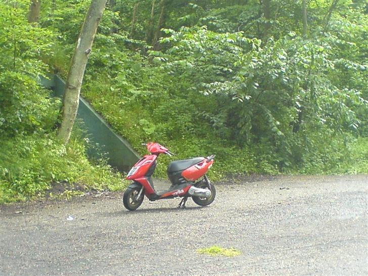 Aprilia Sonic Byttet til Stalker - færdige resultat ;) Mig og Sonic´en på skovtur :D billede 10