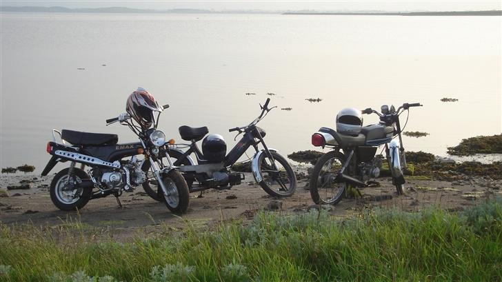Honda dax (solgt) billede 7