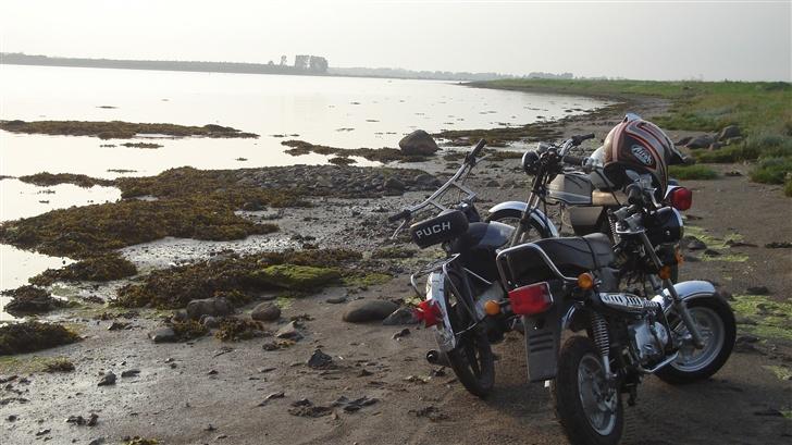 Honda dax (solgt) billede 8
