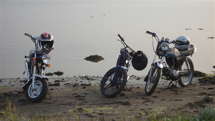 Honda dax (solgt) billede 9