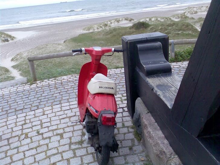 Honda Melody SOLGT billede 3