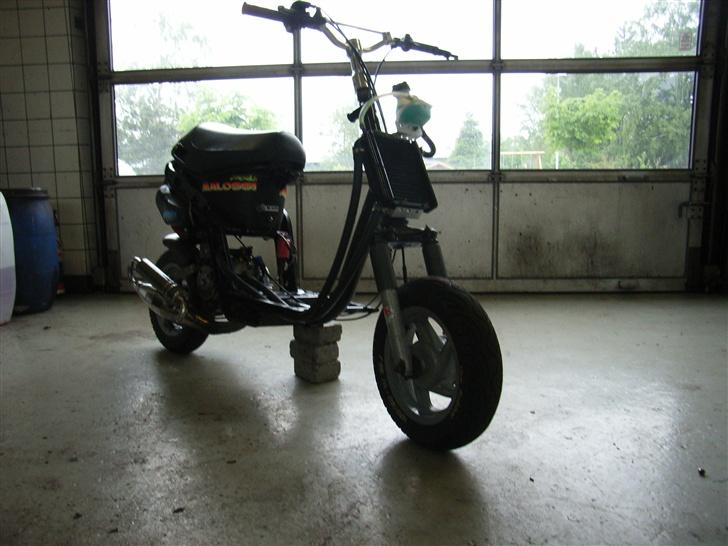 Piaggio old Zip lc - Godt billede synes jeg selv. :P billede 5