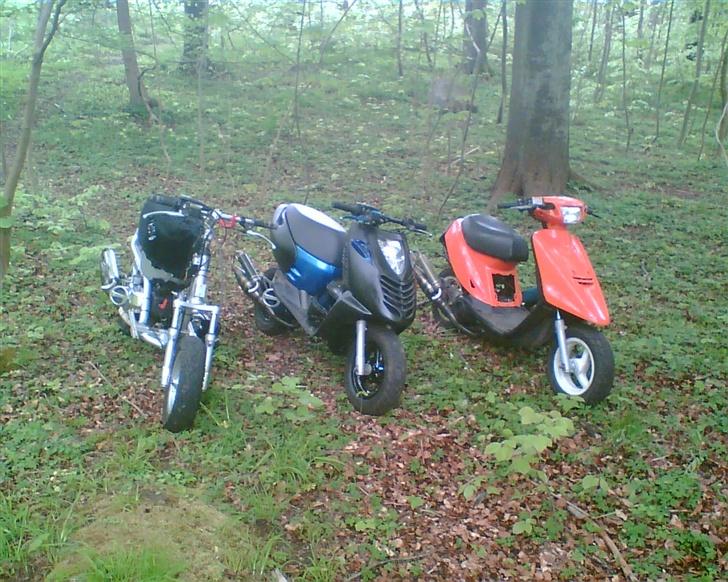 Yamaha jog as (bytte til hot) - frøsig elkjær og mig på skov tur :) billede 2