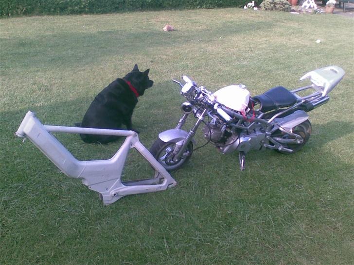 MiniBike Dreambike billede 7