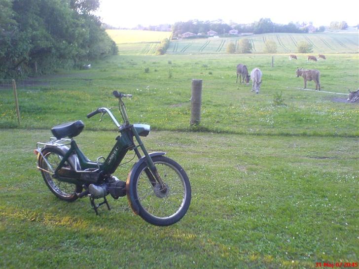 Puch Maxi K E50 *solgt* billede 12