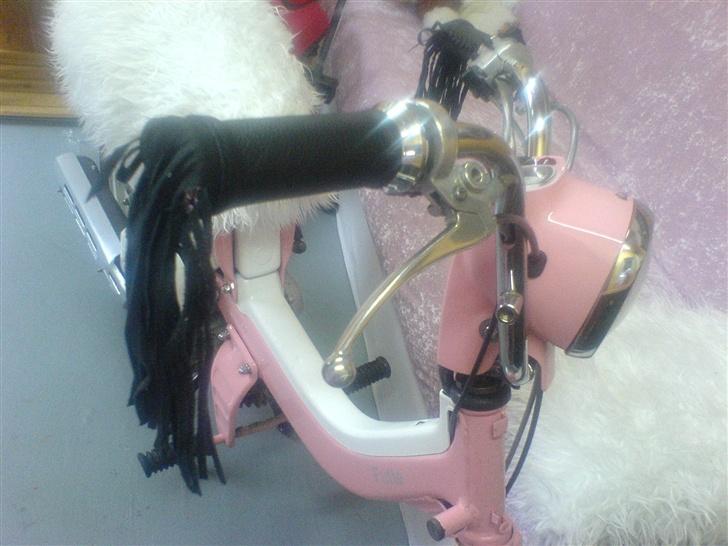 Suzuki FZ50 [Solgt] billede 9