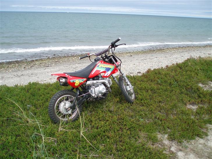 MiniBike 110 ccm crosser Solgt billede 6