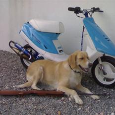 Yamaha Jog fs [ SOLGT ]