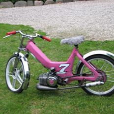 Puch Maxi  projekt