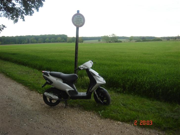 Piaggio * Nrg Solgt billede 15
