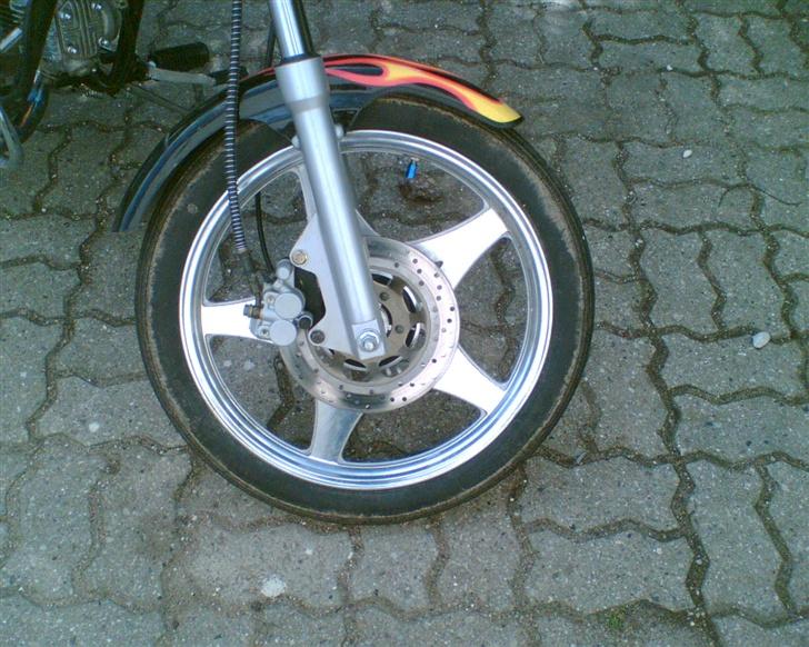 Regal raptor (30'er) solgt billede 7