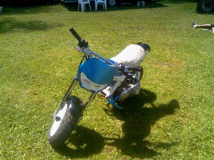 Suzuki street magic billede 2