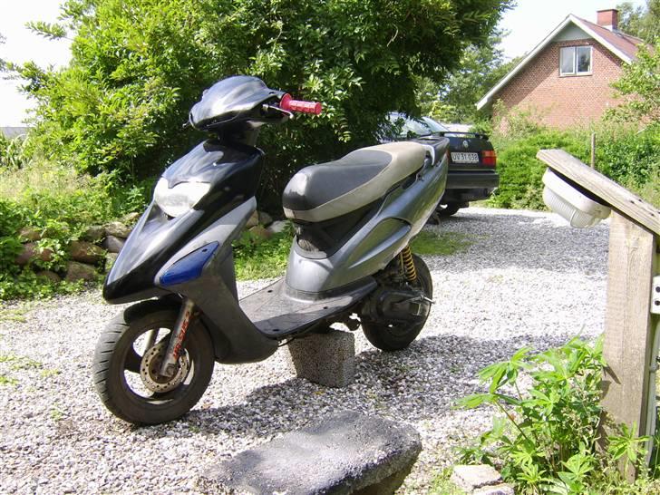 Honda sfx solgt billede 4