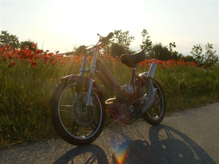 Puch Maxi " Woodo Doll " billede 4