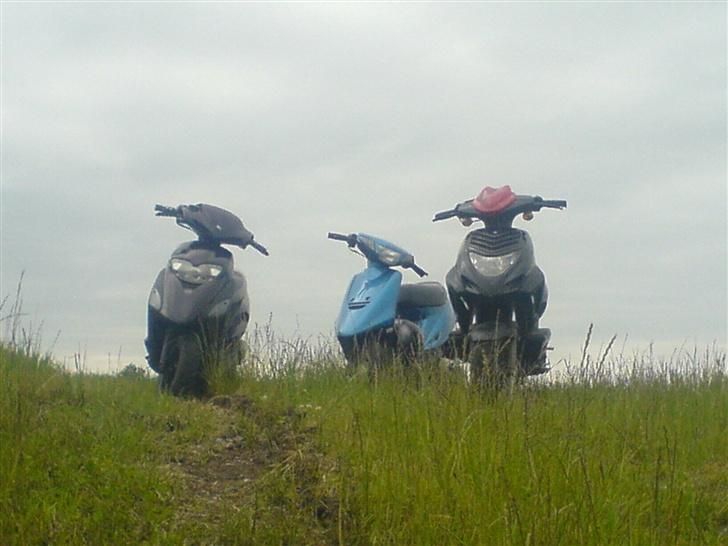 Honda SFX kameleon billede 10