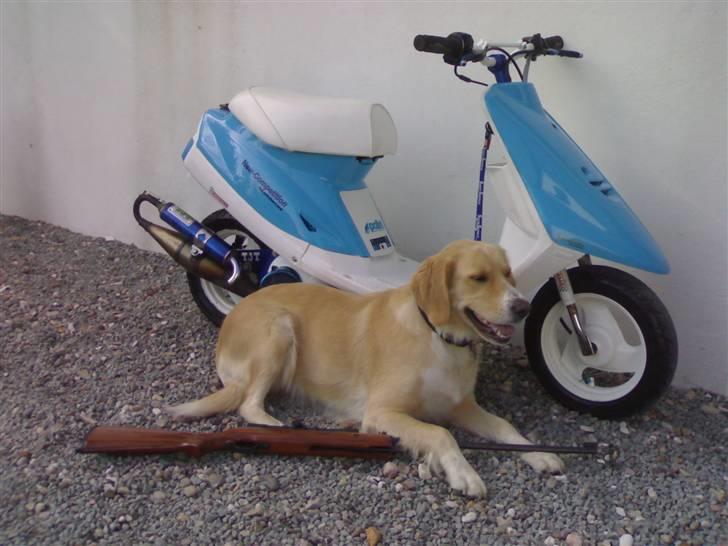 Yamaha Jog fs [ SOLGT ] - Sådan ser den ud nu! billede 1